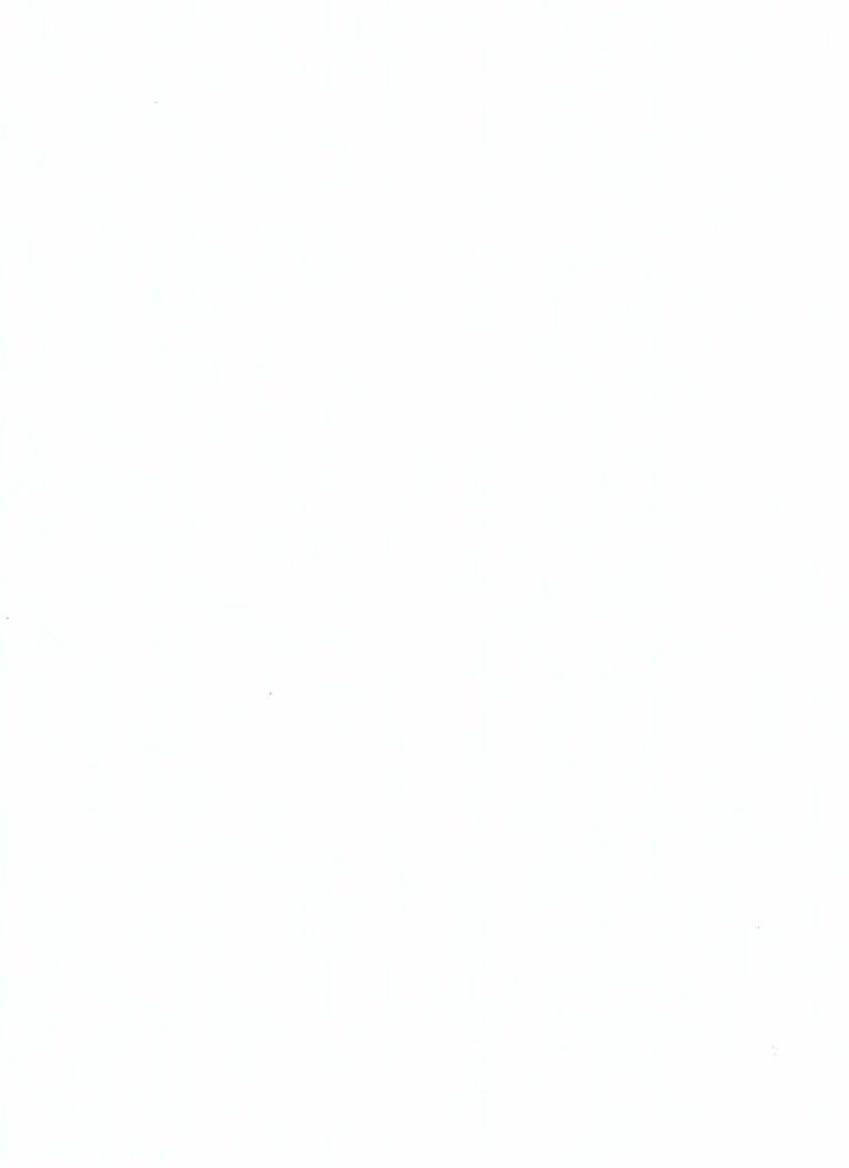 Μελαμίνες akritas 1100 Π8 Λευκώνας