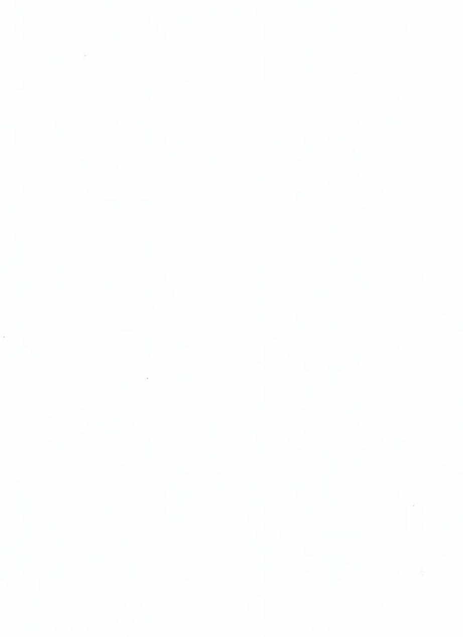 1100.jpg Μελαμίνες akritas 1100 Π8 Λευκώνας