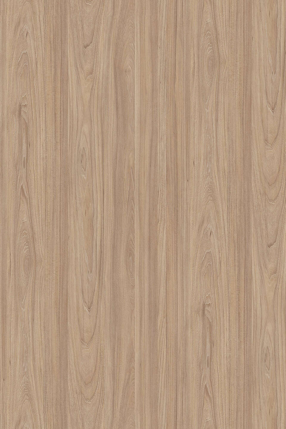 5500_960x0_fit_478b24840a.jpg Μελαμίνη kronospan 5500 su natural noble elm