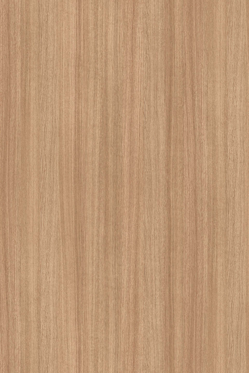 5501_960x0_fit_478b24840a.jpg Μελαμίνη kronospan 5501 sn slavonia oak