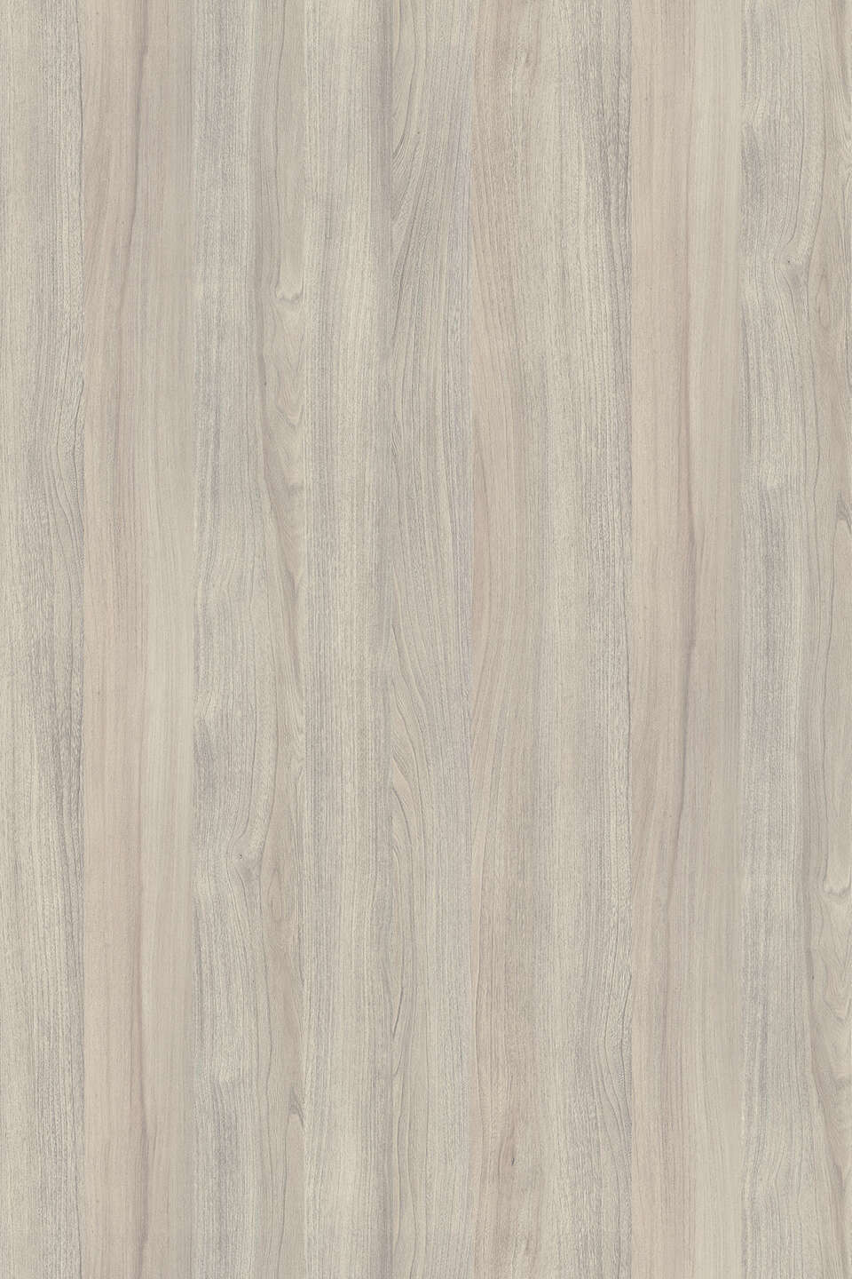 K019_960x0_fit_478b24840a.jpg Μελαμίνη kronospan k019 pw silver liberty elm