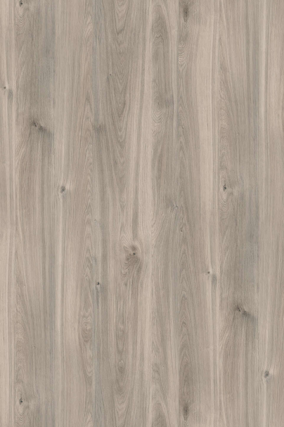 K357_960x0_fit_478b24840a.jpg Μελαμίνη kronospan k357 pw greige castello oak