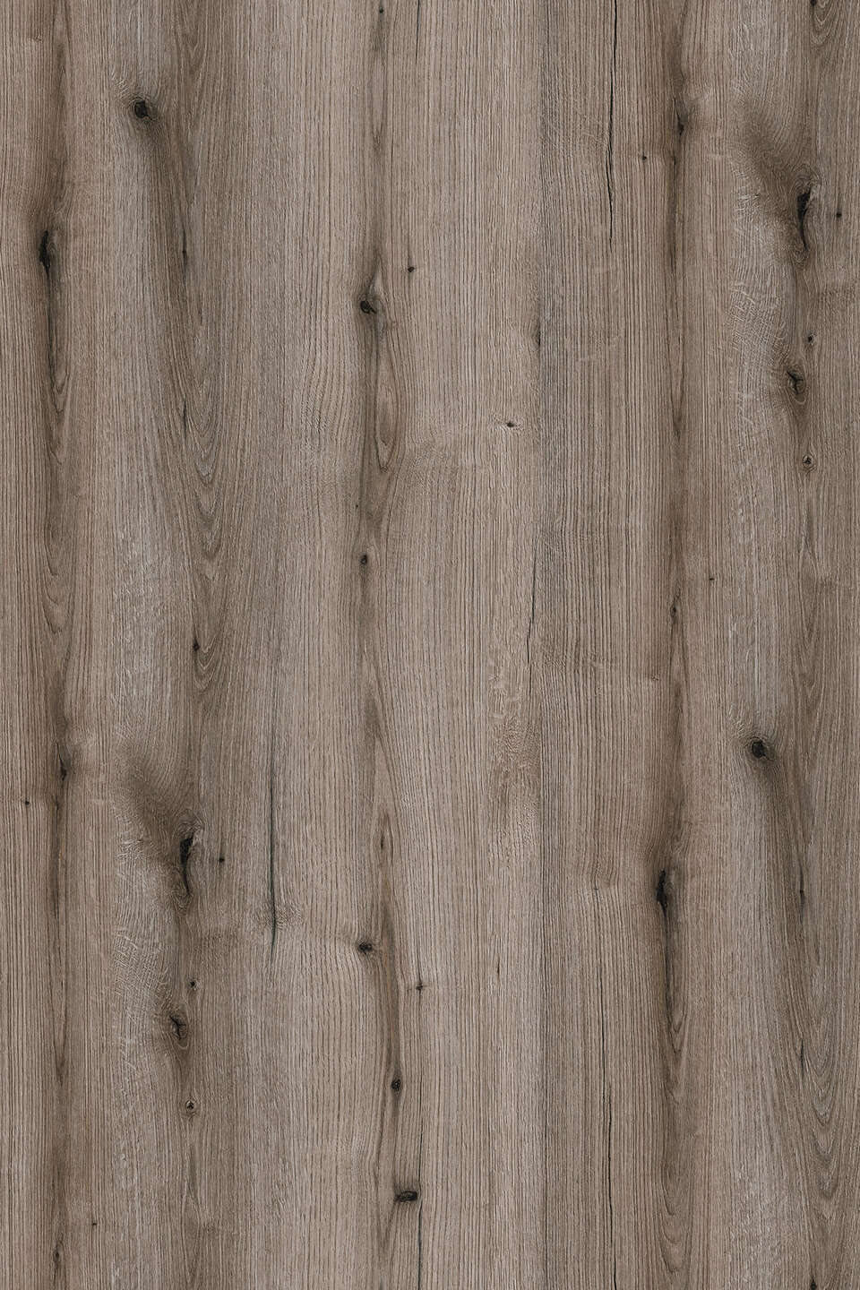 K366_960x0_fit_478b24840a.jpg Μελαμίνη kronospan k366 pw fossil evoke oak