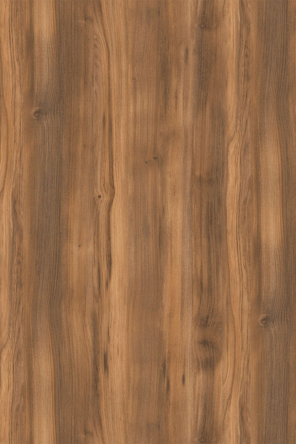 K536_960x0_fit_478b24840a.jpg Μελαμίνη kronospan k536 rw amber baroque oak