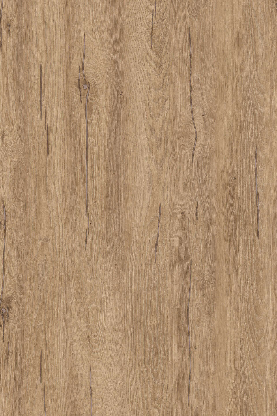 K544_960x0_fit_478b24840a.jpg Μελαμίνη kronospan k544 rw hazel silverjack oak