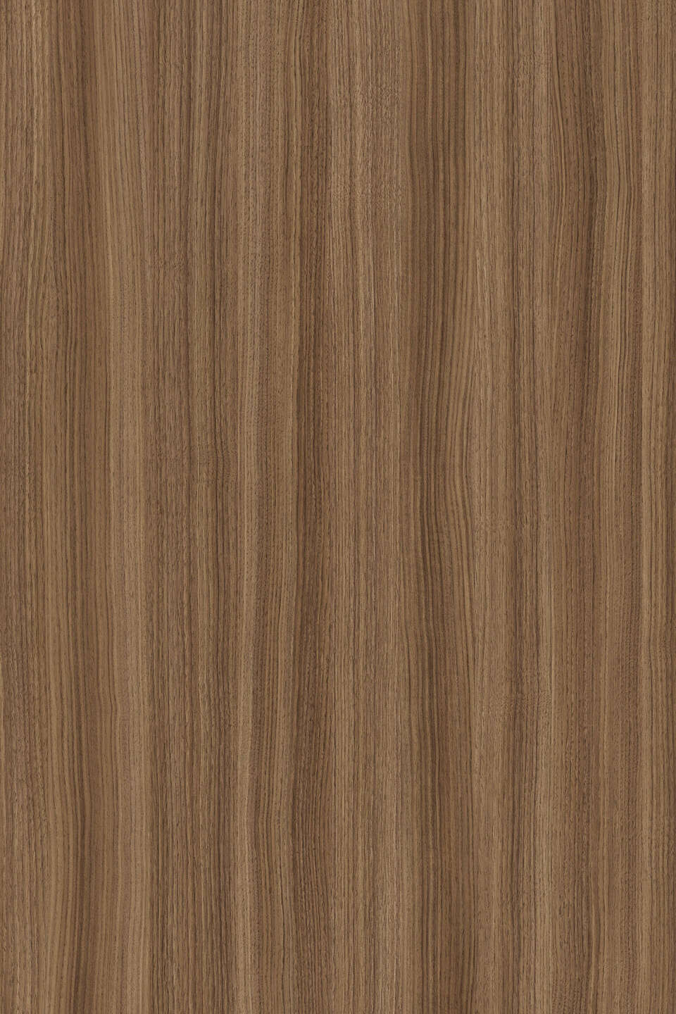 K546_960x0_fit_478b24840a.jpg Μελαμίνη kronospan k546 rw caramel franklin walnut