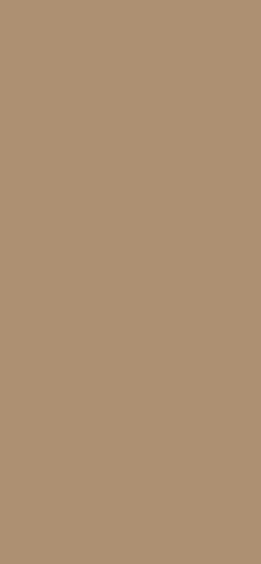Μελαμίνη egger u250 tm caramel beige