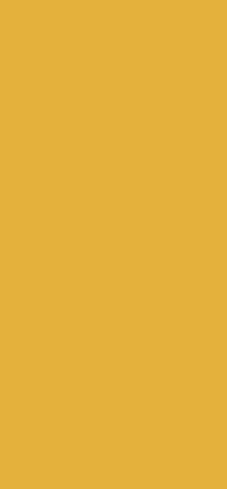 Μελαμίνη egger u163 st9 curry yellow