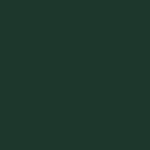 Μελαμίνη egger u699 st9 fir green