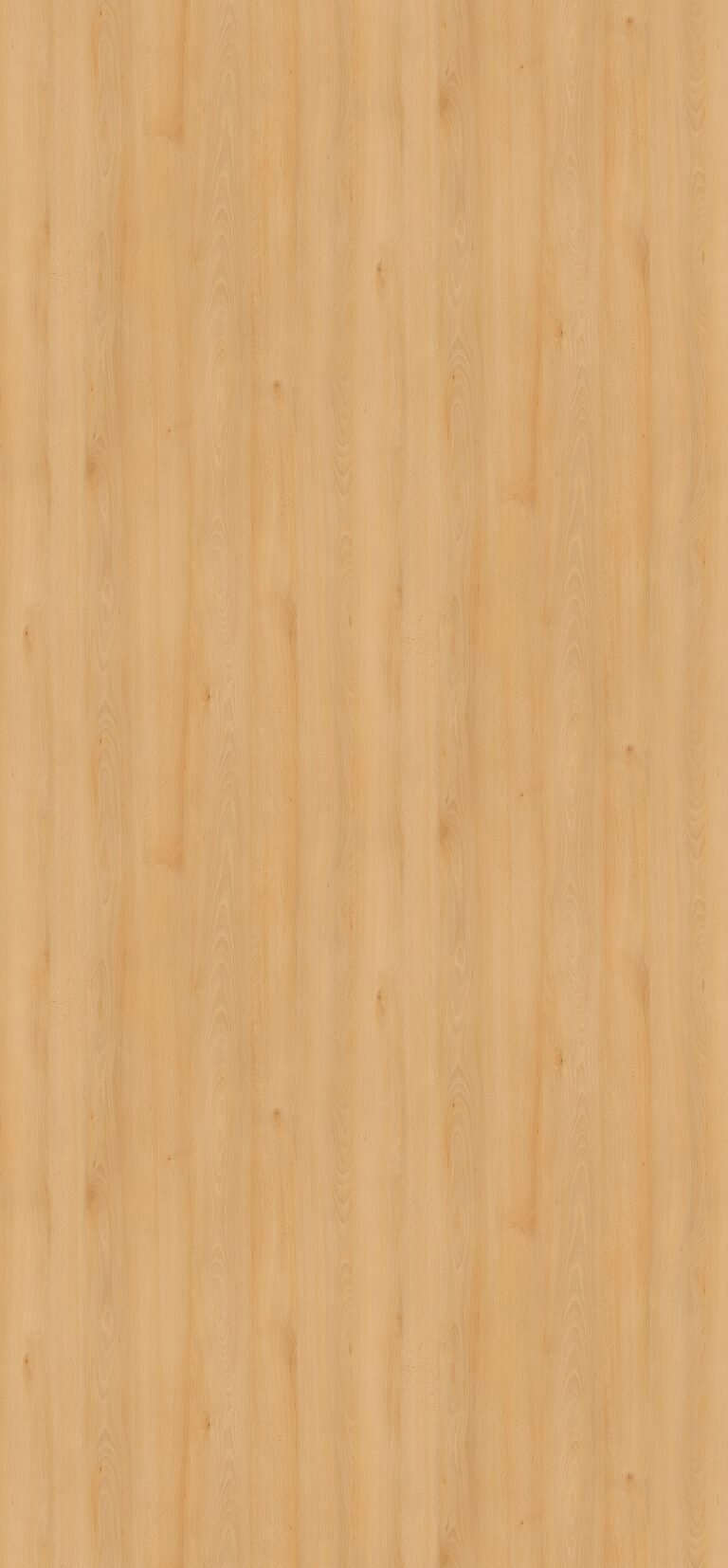 Μελαμίνη egger h1910 st9 willow beech