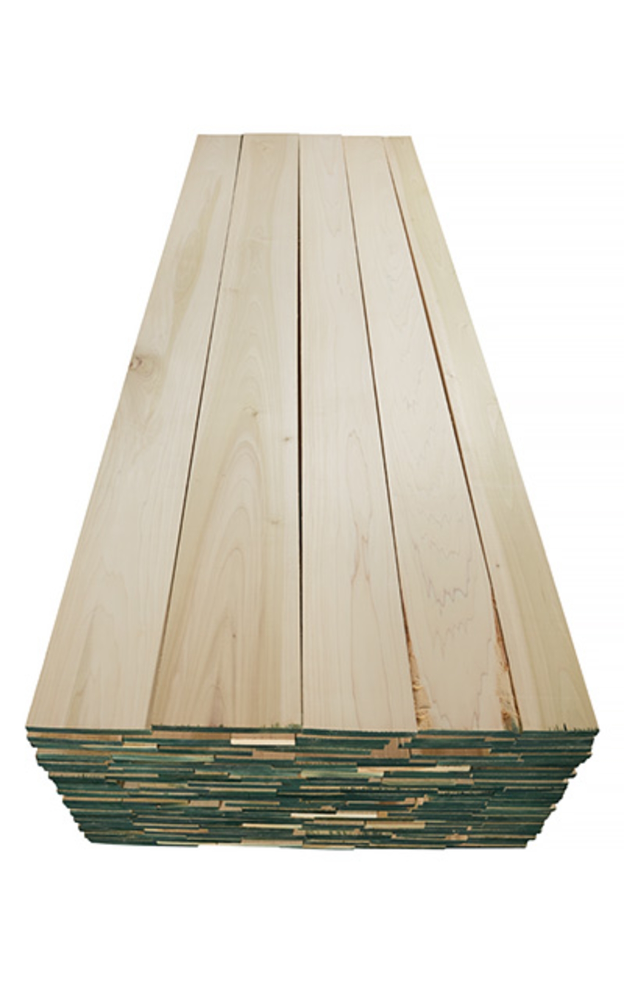 poplar poplar
