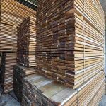 teak
