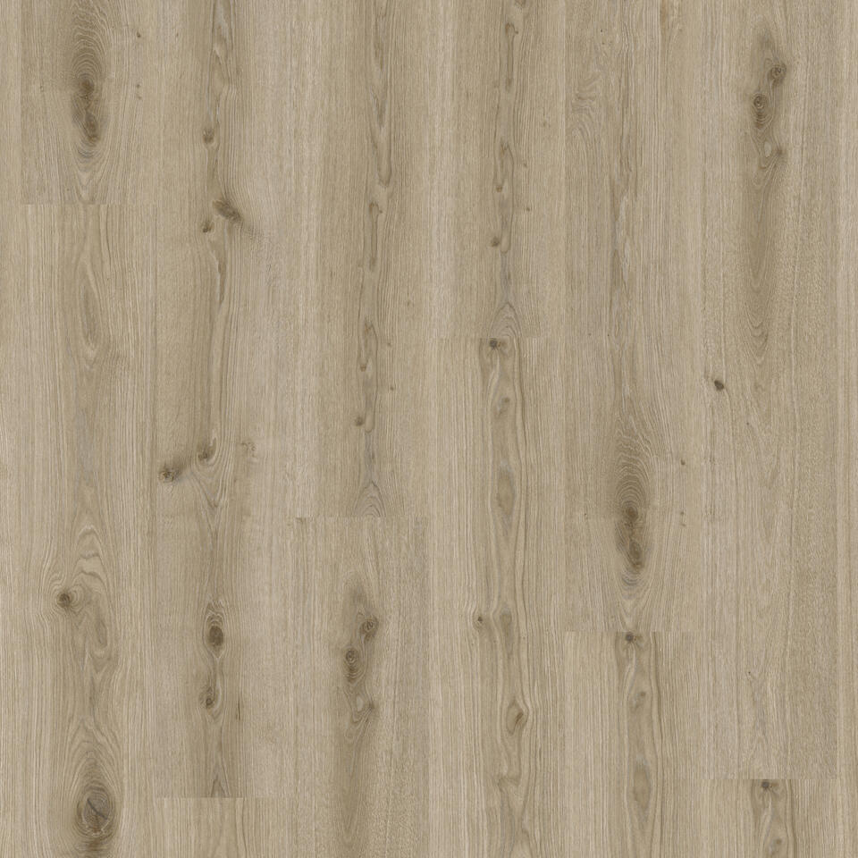 TH_LVT_Essence_Rigid_Primary_Oak_Light_Grey.jpg Βινυλικό Δάπεδο Tarkett Essence Rigid 30-55 – Essence Rigid 30-Primary Oak-Lt Grey 120 - Image 1