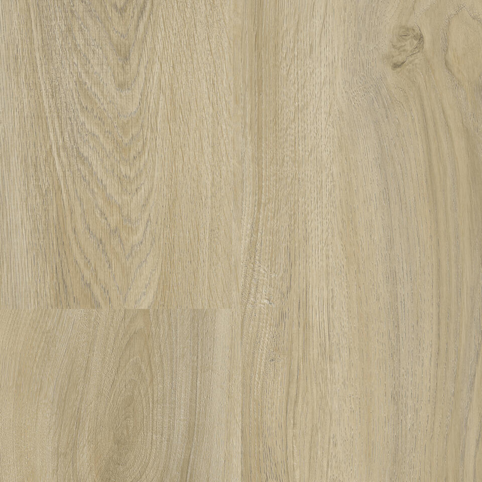 TH_LVT_iD_SQUARE_English_Oak_Beige.jpg Βινυλικό Δάπεδο Tarkett iD Square Loose-Lay English Oak BEIGE - Image 1