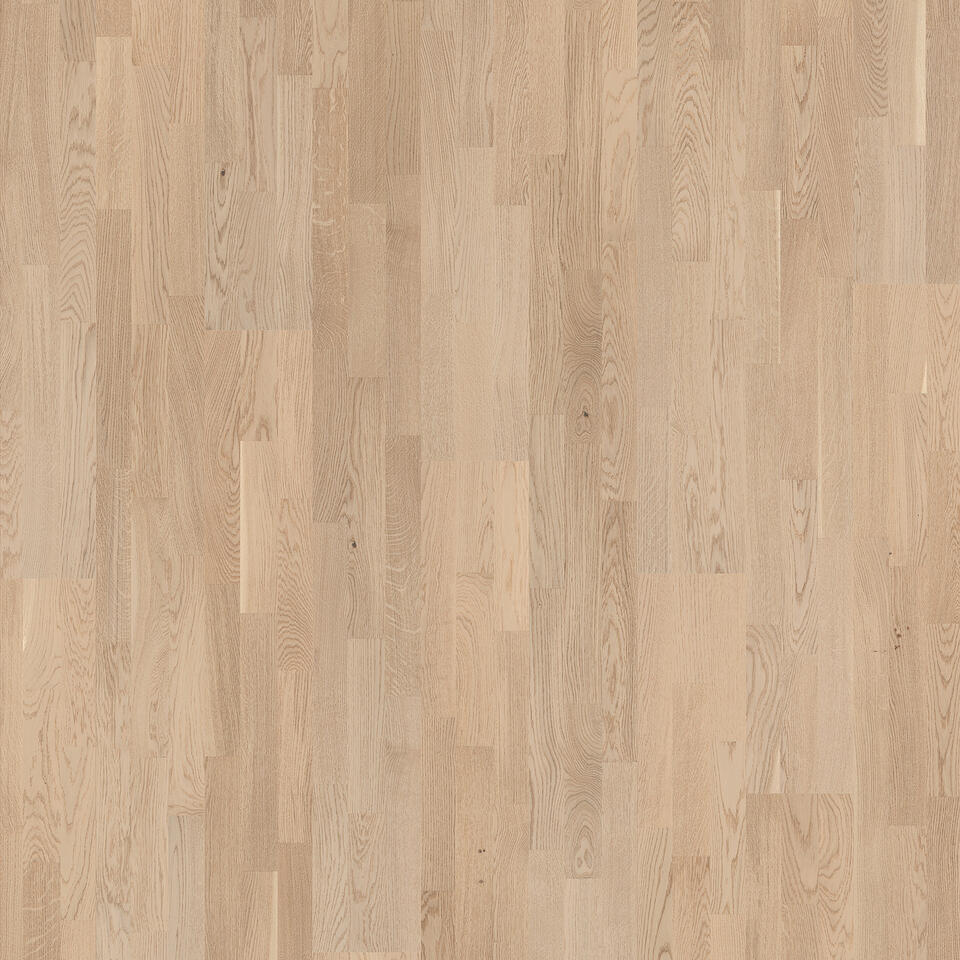 TH_Wood_Professional_Oak_Nature_White_TreS_7870079_001.jpg Προγυαλισμένο Ξύλινο Πάτωμα Tarkett Professional 13 14 Mm – Oak Nature White Tres 3 λωρίδες - Image 1
