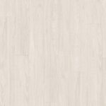 EL1096 White Sheffield Acacia