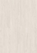 EL1096 White Sheffield Acacia