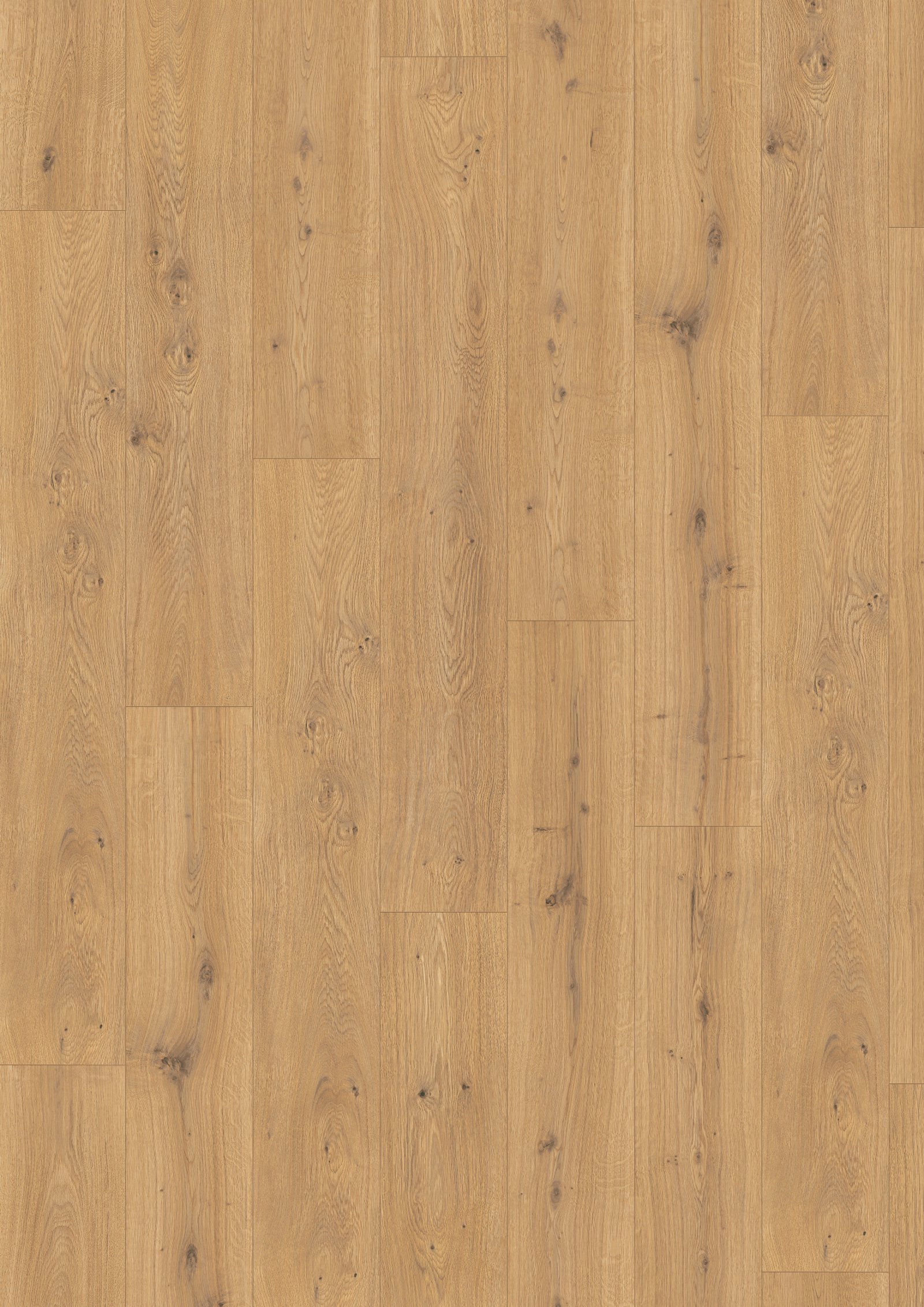egger-el2009-honey-predaia-oak-611468-1 EL2009 Honey Predaia Oak - Image 1